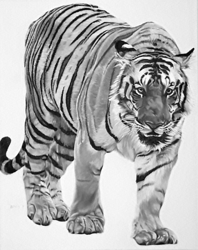 TIGER 4